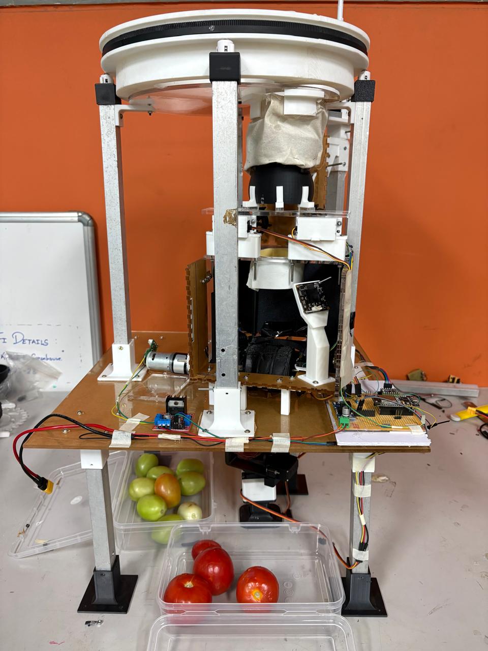 Tomato sorting machine